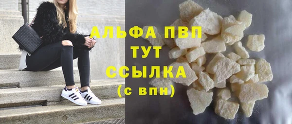 гашик Каменка