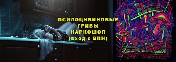 бутират Каменногорск