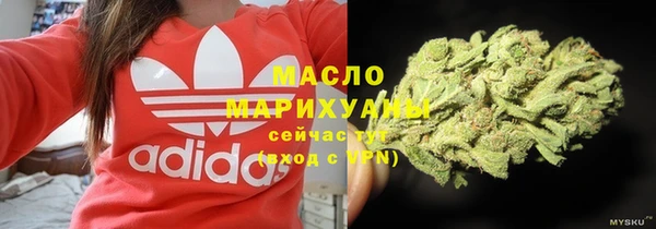 гашик Каменка