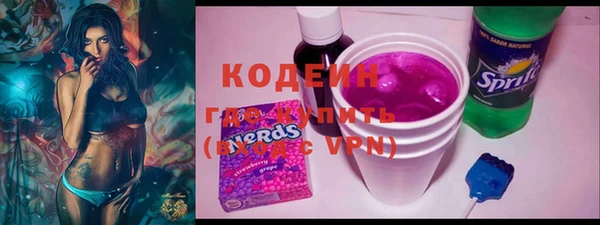 гашик Каменка