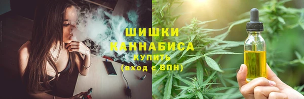 гашик Каменка