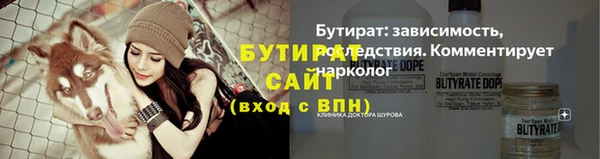 гашик Каменка
