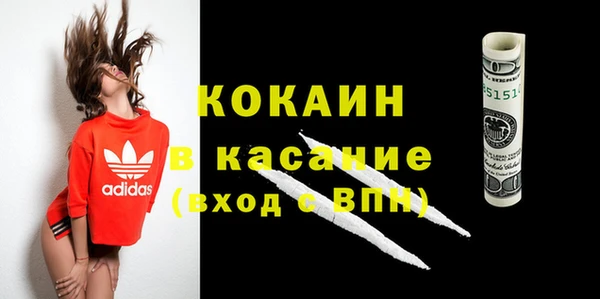 гашик Каменка