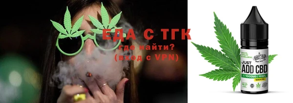 гашик Каменка