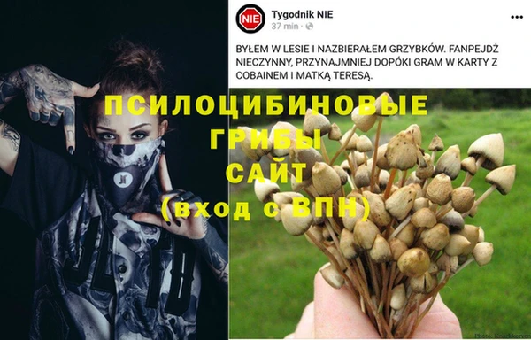 экстази Каменск-Шахтинский