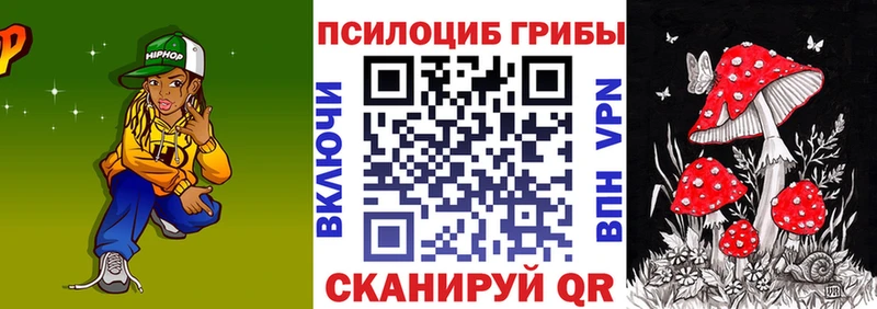 Псилоцибиновые грибы Cubensis  Истра 
